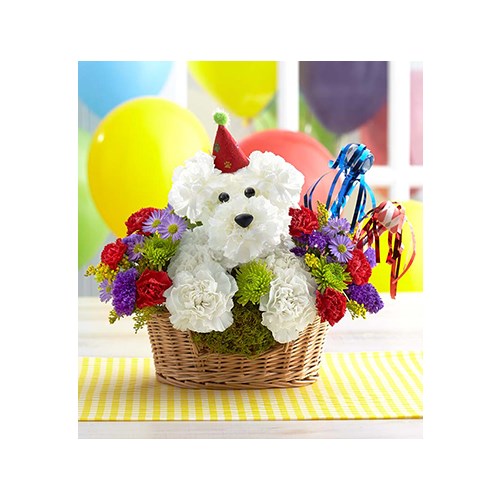 another-year-rover-flower-dog-in-a-basket-for -birthday-gift